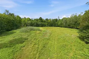 252 Rice Rd, Plum Twp, PA 16354 - Photo 39