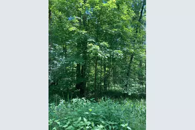 0 Sandy Run Rd, Lower Turkeyfoot Township, PA 15424 - Photo 5