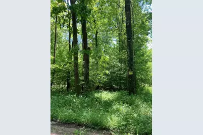 0 Sandy Run Rd, Lower Turkeyfoot Township, PA 15424 - Photo 3
