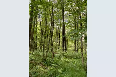 0 Sandy Run Rd, Lower Turkeyfoot Township, PA 15424 - Photo 7