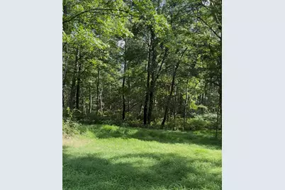 0 Dickerson Run Rd, Franklin Township, PA 15486 - Photo 9