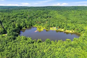 131 Rainbows End Ln, Summit Township, PA 15552 - Photo 45