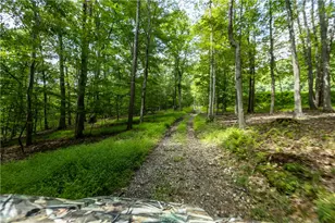 207 Youngstown Ridge Rd, Ligonier Township, PA 15658 - Photo 47
