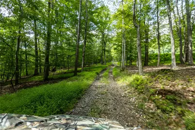 207 Youngstown Ridge Rd, Ligonier Township, PA 15658 - Photo 45