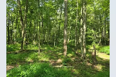 116 Hickory Rd, Fairview Township, PA 16050 - Photo 15