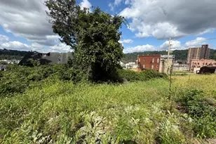 729 731 735 Jenny Lind St, McKeesport, PA 15132 - Photo 9