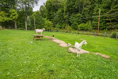 521 McClelland Road, Peters Township, PA 15332 - Photo 17