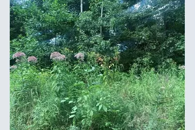 Lot 2B & 4 Vickerman Rd, East Lackawannock Township, PA 16137 - Photo 1
