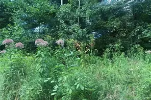 Lot 2B 4 Vickerman Rd, East Lackawannock Township, PA 16137 - Photo 1