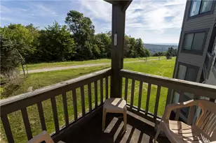 C31 Ab Stoneridge Dr, Seven Springs, PA 15622 - Photo 23