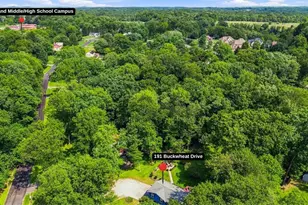 191 Buckwheat Dr, Pine Township, PA 15044 - Photo 47