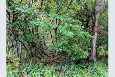 0 Little Rock Rd, Wayne Township, PA 16201 - Photo 11
