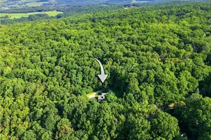 192 Rocky Ridge Rd, Saltlick Township, PA 15622 - Photo 47