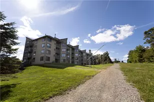 C26Ab Stoneridge Dr, Seven Springs, PA 15622 - Photo 39