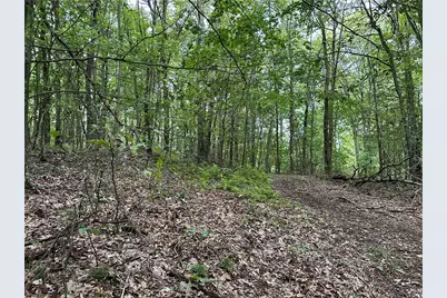 125 Blue Rock Rd & Gameland Rd, Sugarcreek Township, PA 16028 - Photo 9