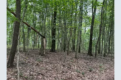 125 Blue Rock Rd & Gameland Rd, Sugarcreek Township, PA 16028 - Photo 7