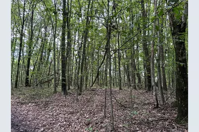 125 Blue Rock Rd & Gameland Rd, Sugarcreek Township, PA 16028 - Photo 11