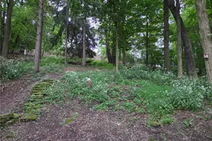 133 Spring Grove, Pittsburgh, PA 15235 - Photo 45