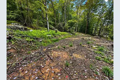 0 Route 30, Ligonier Township, PA 15655 - Photo 7
