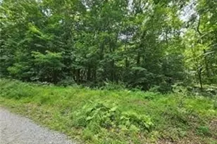 Lot 17/18 Tanager, Derry Township, PA 15670 - Photo 1