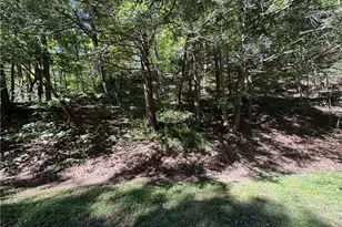 20 Deambroggi Rd, Fallowfield, PA 15022 - Photo 41