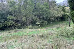 2265 S Eighty Eight Rd, Greensboro, PA 15338 - Photo 21
