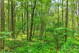 126 Roy Stout Rd, Saltlick Township, PA 15622 - Photo 9
