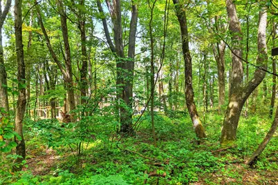 126 Roy Stout Rd, Saltlick Township, PA 15622 - Photo 7