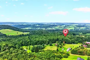 126 Roy Stout Rd, Saltlick Township, PA 15622 - Photo 19