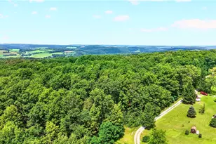 126 Roy Stout Rd, Saltlick Township, PA 15622 - Photo 23