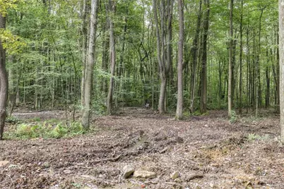 3015 Oak Ridge Lane, Saltlick Township, PA 15622 - Photo 43