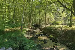 1450 Breakneck Rd, Bullskin Township, PA 15425 - Photo 41