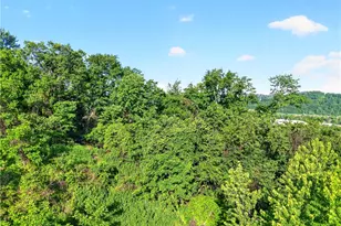 5334 Wickliff St, Pittsburgh, PA 15201 - Photo 15
