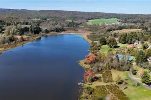 218 Chestnut Ln, Ohiopyle, PA 15421 - Photo 49
