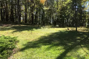 218 Chestnut Ln, Ohiopyle, PA 15421 - Photo 47