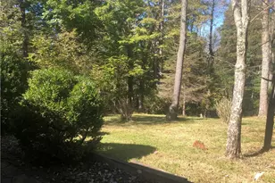 218 Chestnut Ln, Ohiopyle, PA 15421 - Photo 45