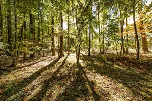 176 Centertown Rd, Pine Township, PA 16127 - Photo 11