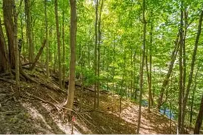 0 Piersol Avenue, Bentleyville, PA 15317 - Photo 9
