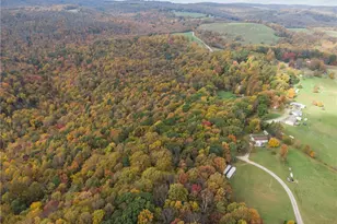 50 Hemlock Hl Rd, Connellsville, PA 15425 - Photo 35