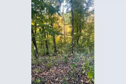 158 Reesman Drive, Raccoon Township, PA 15001 - Photo 3