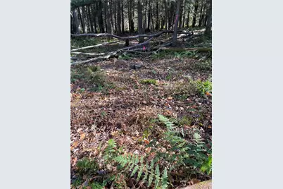 Lot 254 Clear Run Road - Peninsula Estates, Indian Lake Boro, PA 15926 - Photo 19
