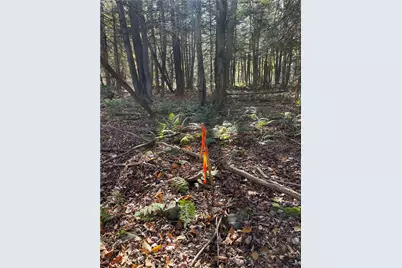 Lot 254 Clear Run Road - Peninsula Estates, Indian Lake Boro, PA 15926 - Photo 15