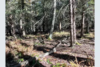 Lot 254 Clear Run Road - Peninsula Estates, Indian Lake Boro, PA 15926 - Photo 11