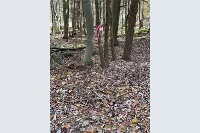 Lot 254 Clear Run Road - Peninsula Estates, Indian Lake Boro, PA 15926 - Photo 13