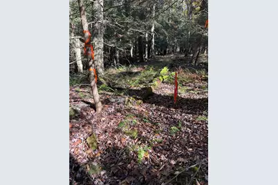 Lot 254 Clear Run Road - Peninsula Estates, Indian Lake Boro, PA 15926 - Photo 17
