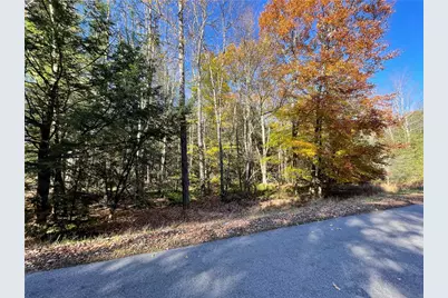 Lot 254 Clear Run Road - Peninsula Estates, Indian Lake Boro, PA 15926 - Photo 3