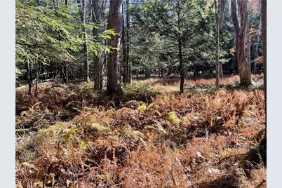 Lot 254 Clear Run Road - Peninsula Estates, Indian Lake Boro, PA 15926 - Photo 9