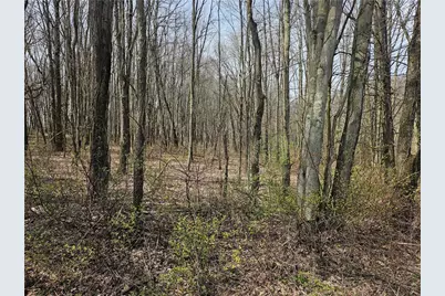 Lot 2 Book Road, Plain Grove Township, PA 16156 - Photo 1