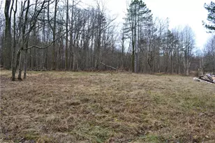 Lot 23 Horseshoe Bend Rd, Bullskin Township, PA 15610 - Photo 1