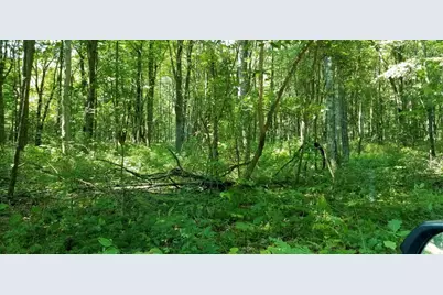 0 Tinker Ridge Road, Ohiopyle, PA 15470 - Photo 1